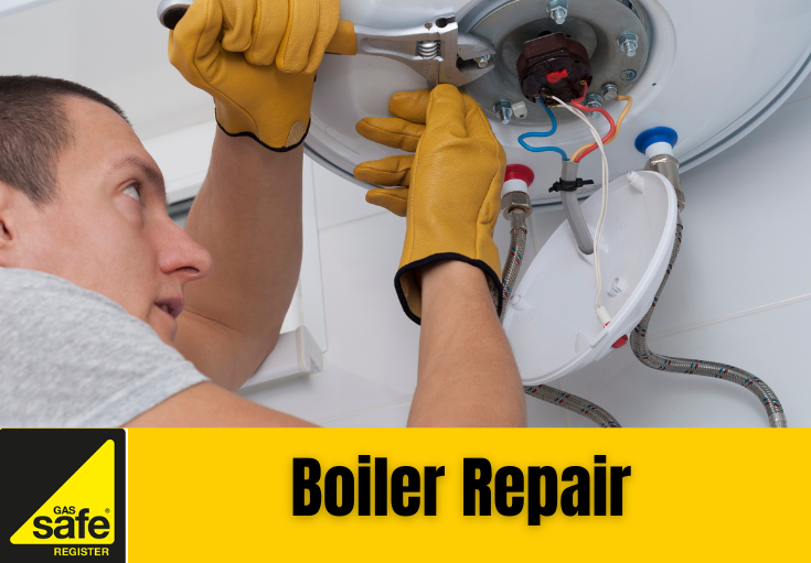 boiler repair Darenth