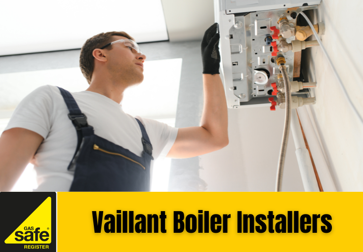 Vaillant boiler installers Darenth